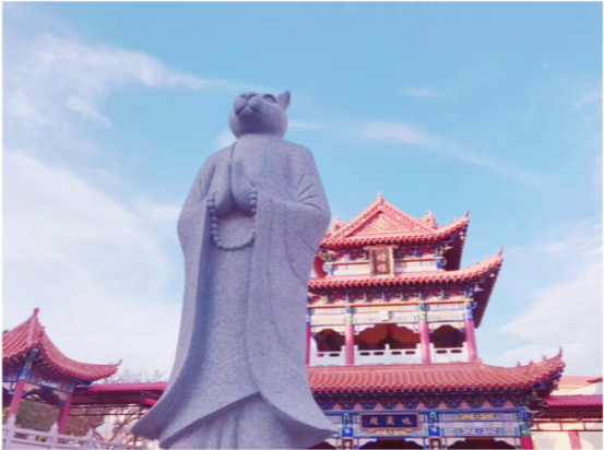 惠州環(huán)海歡樂(lè)行活動(dòng)(圖7)